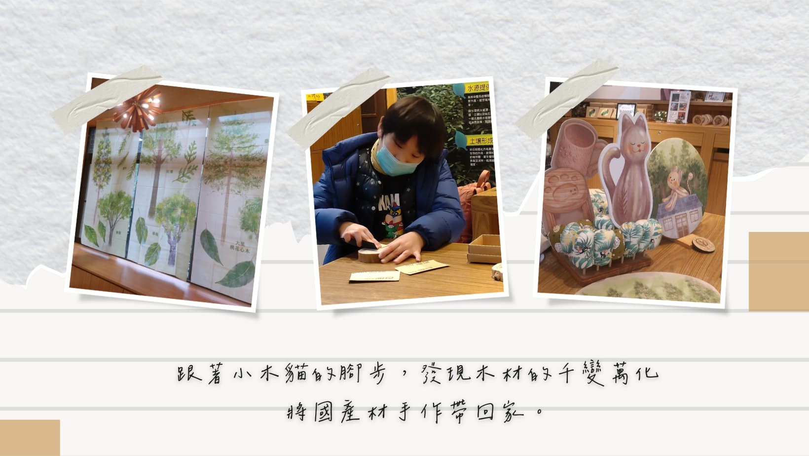 尋找小木貓