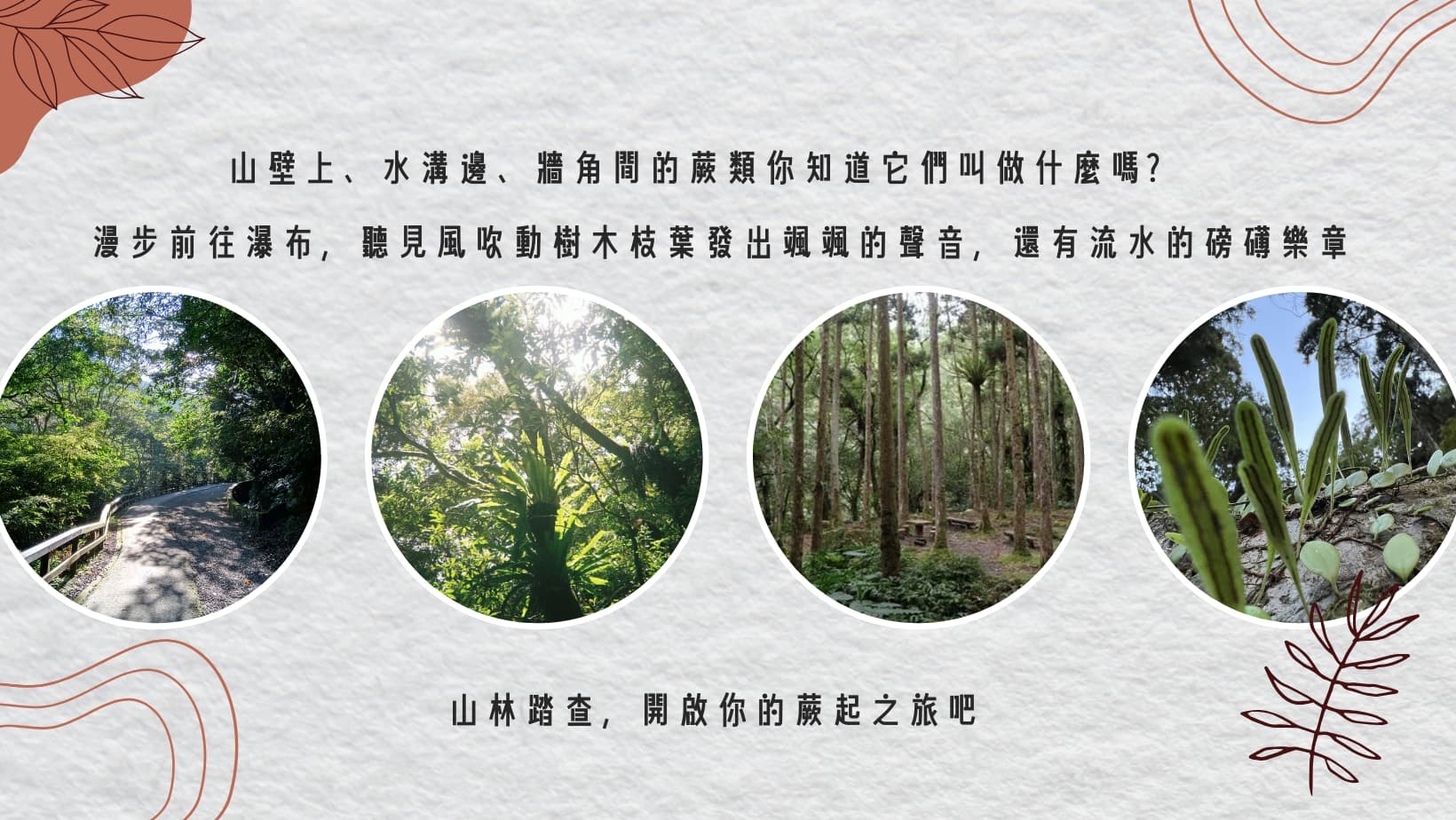 山林蕨起