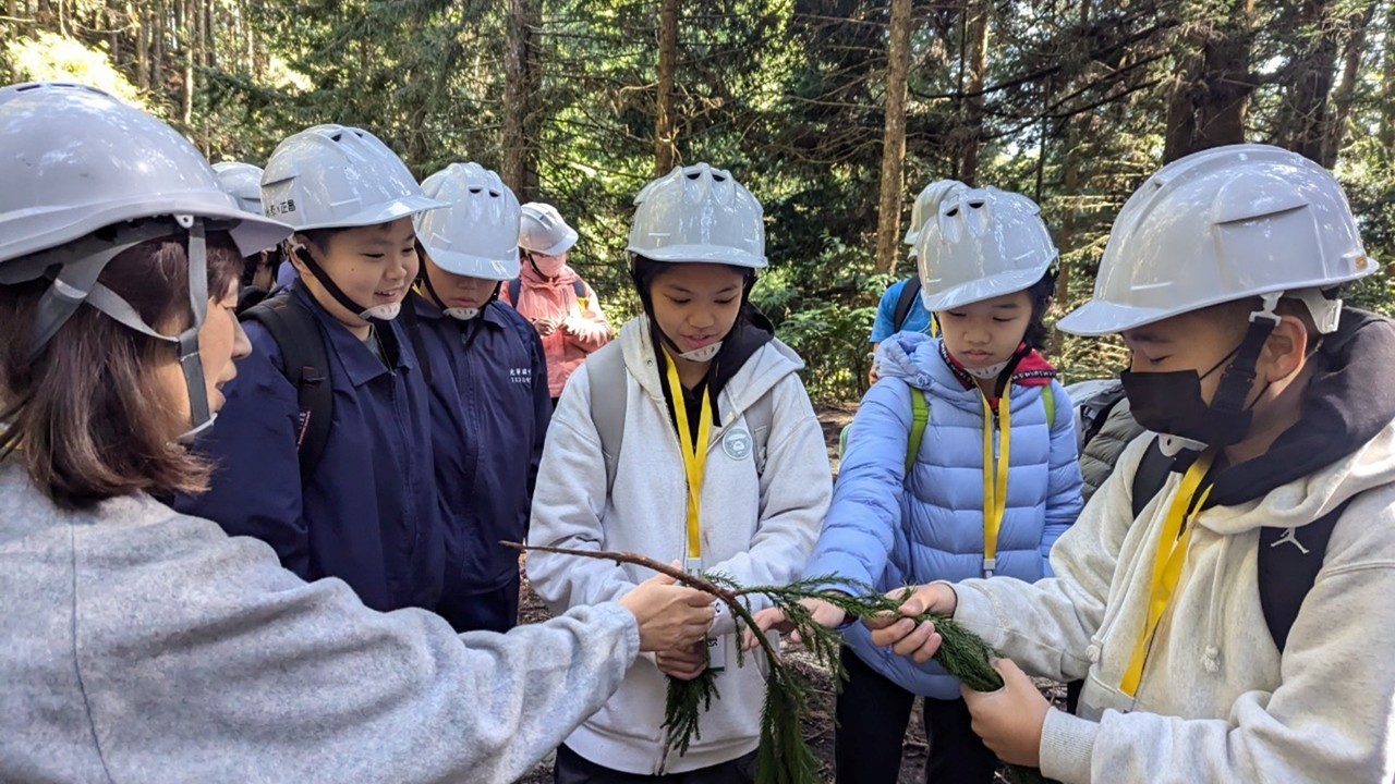 森林進校園：孩子的永續教室