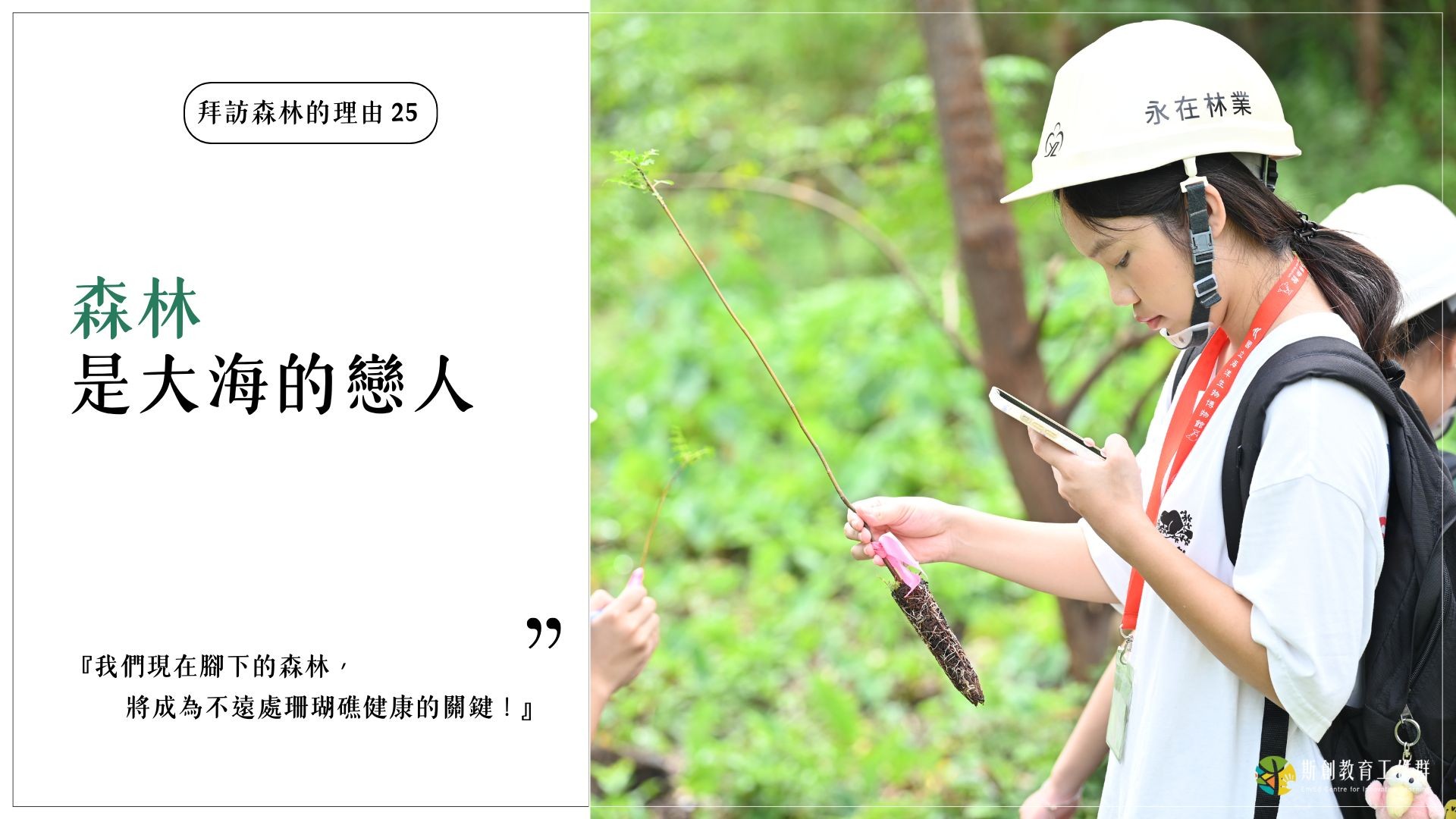 【拜訪森林的理由25－森林是大海的戀人】
